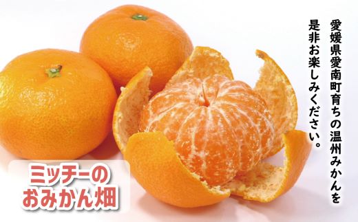 先行予約 訳あり 温州みかん 5kg 7000円 愛媛 みかん こたつ みかん 愛媛みかん ミカン mikan 家庭用 産地直送 国産 農家直送 糖度 果樹園 期間限定 数量限定 特産品 ゼリー ジュース アイス 人気 限定 甘い 果実 果肉 フルーツ 果物 柑橘 蜜柑 先行 事前 予約 受付 ビタミン 健康 おいしい ジューシー 規格外 サイズ ミックス 愛南町 愛媛県 ミッチーのおみかん畑