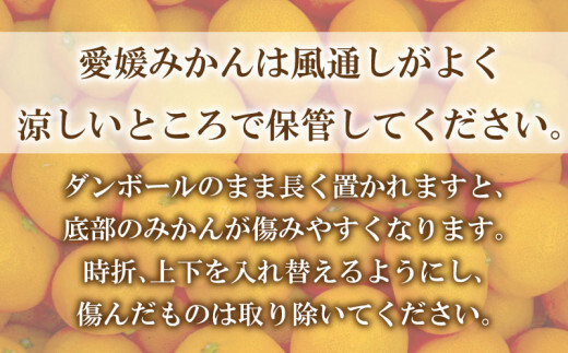 先行予約 訳あり 温州みかん 5kg 7000円 愛媛 みかん こたつ みかん 愛媛みかん ミカン mikan 家庭用 産地直送 国産 農家直送 糖度 果樹園 期間限定 数量限定 特産品 ゼリー ジュース アイス 人気 限定 甘い 果実 果肉 フルーツ 果物 柑橘 蜜柑 先行 事前 予約 受付 ビタミン 健康 おいしい ジューシー 規格外 サイズ ミックス 愛南町 愛媛県 ミッチーのおみかん畑