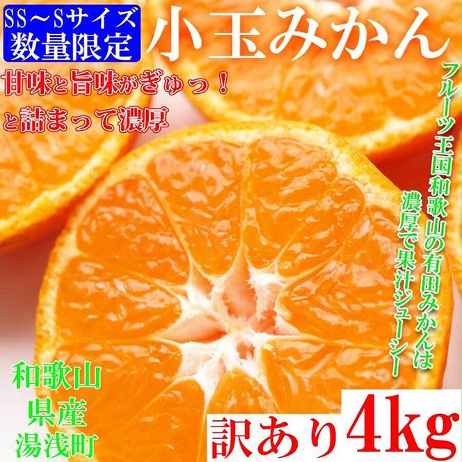 みかん 4kg sサイズ ssサイズ ｜ 訳あり 有田みかん S‐SS ご家庭用 和歌山県 小玉みかん ※北海道・沖縄・離島への配送不可 ※2024年10月下旬～2025年1月下旬頃に順次発送予定