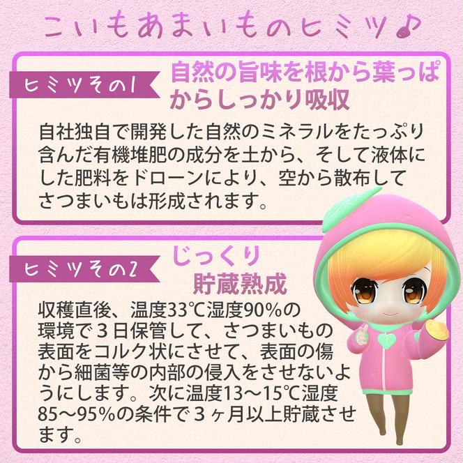 【訳あり】農家が作った超熟成蜜芋「こいもあまいも」の冷凍焼きいも 合計１kg