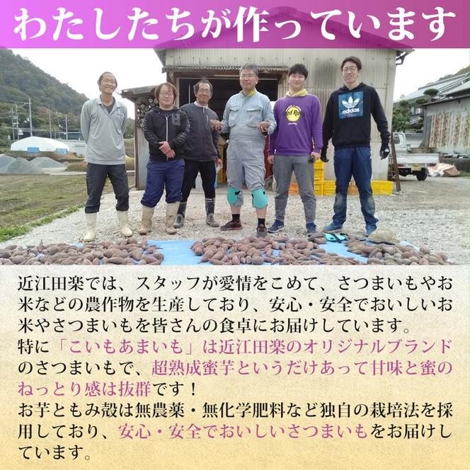 【訳あり】農家が作った超熟成蜜芋「こいもあまいも」の冷凍焼きいも 合計１kg