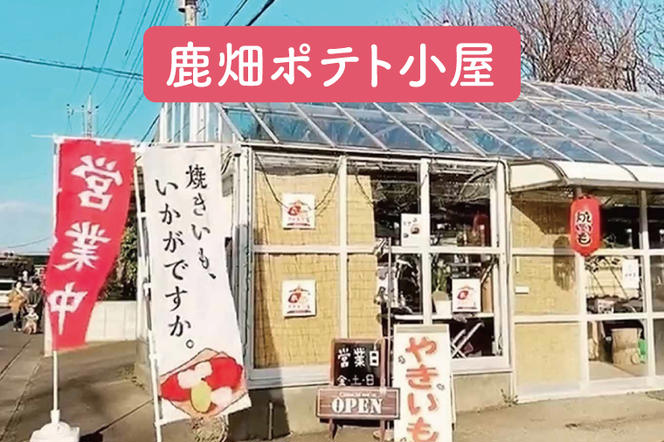 ポテト小屋の生さつまいも 【紅はるか】 10kg 【鹿嶋市 減農薬 サツマイモ 生芋 べにはるか 送料無料 10キロ 15000円以下】 (KBR-4)