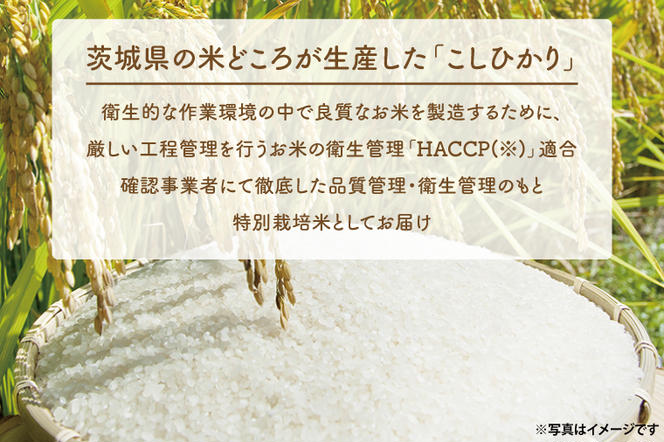 【3ヵ月定期便】＜令和6年産＞ 吟穂豊穣こしひかり 5kg ×3ヵ月 精米 特別栽培 (茨城県共通返礼品・常陸太田市産)  コシヒカリ こしひかり 米 ごはん コメ お米 白米 国産 茨城県産 定期便