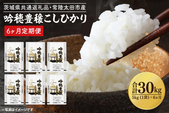 【6ヵ月定期便】＜令和6年産＞ 吟穂豊穣こしひかり 5kg ×6ヵ月 精米 特別栽培 (茨城県共通返礼品・常陸太田市産) コシヒカリ こしひかり 米 ごはん コメ お米 白米 国産 茨城県産 定期便