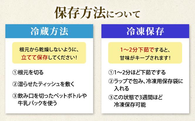 北海道 洞爺湖町産 グリーンアスパラ 約1kg L～2L混合 5月下旬頃お届け 先行受付 旬 アスパラ アスパラガス 野菜 農作物 サラダ 天ぷら 新鮮 国産 人気 お取寄せ 産地直送 冷蔵 送料無料 洞爺湖