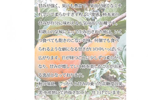 【ご家庭用わけあり】和歌山秋の味覚 平核無柿（ひらたねなしがき）約7.5kg ※2025年10月上旬～10月末頃に順次発送予定