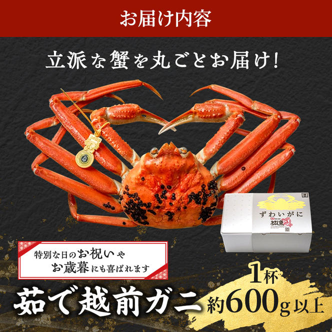 期間限定 茹で 越前ガニ 約600g以上 1杯 年内届け 食通もうなる本場の味をぜひご堪能ください 茹でガニ 越前カニ 越前蟹 ズワイガニ カニ 蟹 ボイルカニ ボイル蟹 魚介 海鮮 限定 福井 福井県 若狭町