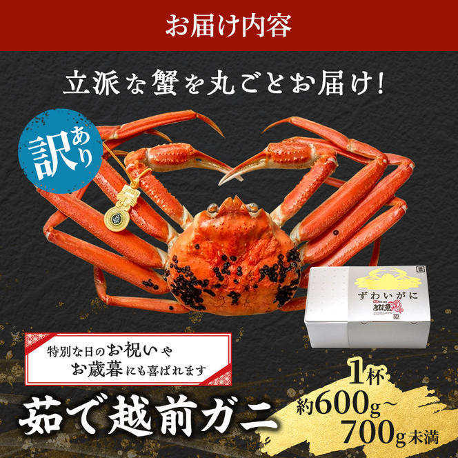 訳あり 茹で 越前ガニ 約600g～700g未満 1杯 年末配送 食通もうなる本場の味をぜひ、ご堪能ください 越前かに 蟹 カニ かに ボイルカニ ボイル蟹 ポーション ズワイガニ 海鮮 脚折れ 訳アリ 福井 福井県 若狭町