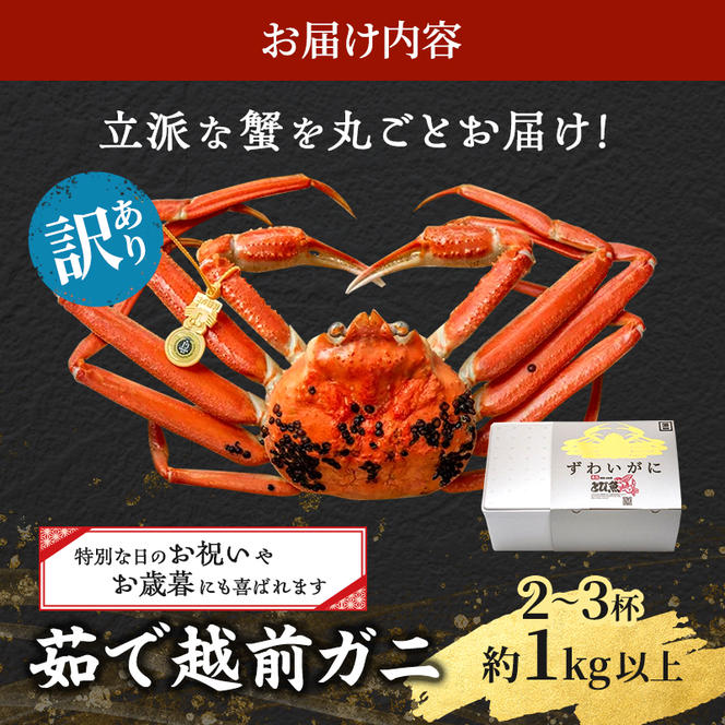 訳あり 茹で 越前ガニ 約1kg以上 2～3杯 年末配送 食通もうなる本場の味をぜひ、ご堪能ください 越前かに 蟹 カニ かに ボイルカニ ボイル蟹 ポーション ズワイガニ 海鮮 脚折れ 訳アリ 福井 福井県 若狭町