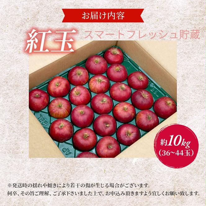 りんご 訳あり スマートフレッシュ 紅玉 約 10kg (36～44玉) 青森県産 リンゴ サイキチ農園 青森県 鰺ヶ沢町産 フルーツ 果物 不揃い 傷 林檎