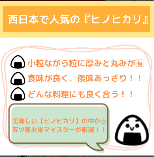 CI680_【６回定期便】西日本で人気のお米！ヒノヒカリ無洗米１０ｋｇ（５ｋｇ×２袋）【五つ星お米マイスター厳選！】