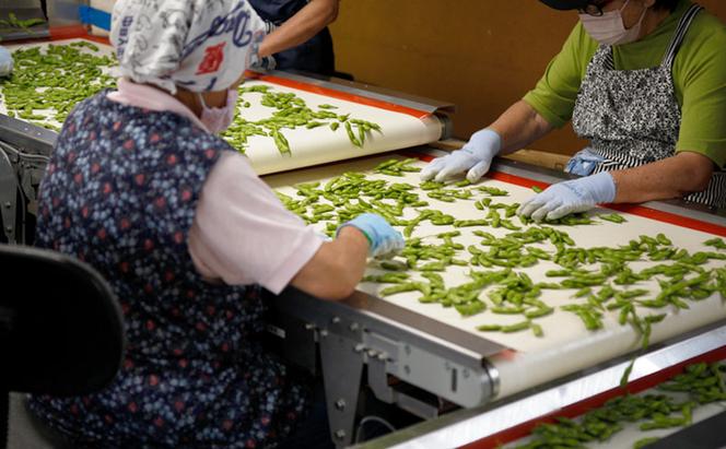 【令和7年産先行予約】 つまりちゃまめ 1.8kg（300g×6袋） 茶豆 枝豆 えだまめ 豆 野菜 新潟 十日町市