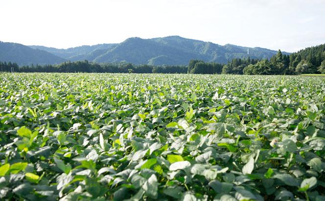 【令和7年産先行予約】 つまりちゃまめ 1.8kg（300g×6袋） 茶豆 枝豆 えだまめ 豆 野菜 新潟 十日町市