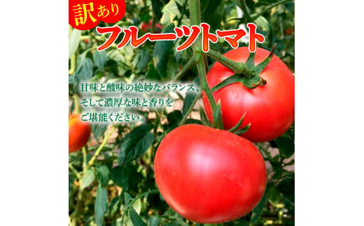 訳あり フルーツトマト 3kg 大小混合 3キロ トマト とまと ふるーつとまと 桃太郎 完熟 糖度8度以上 濃厚 野菜 料理 サラダ マリネ おいしい 新鮮 食品 訳アリ 家庭用 ご自宅用