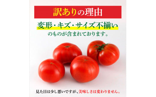 訳あり フルーツトマト 3kg 大小混合 3キロ トマト とまと ふるーつとまと 桃太郎 完熟 糖度8度以上 濃厚 野菜 料理 サラダ マリネ おいしい 新鮮 食品 訳アリ 家庭用 ご自宅用