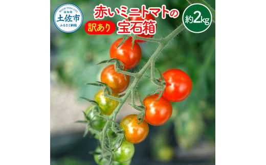 訳あり 赤いミニトマトの宝石箱 約2キロ 約2kg トマト とまと ミックス 詰め合わせ セット 野菜 料理 サラダ マリネ パスタ 浅漬け おやつ 弁当 甘味 酸味 新鮮 訳アリ 家庭用 ご自宅用