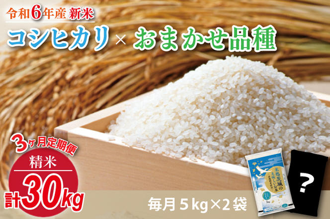 HA-6　【3回定期便】【2024年12月より順次発送】★新米★【数量限定】R6年産 コシヒカリ 5kg＋おまかせ 5kg　茨城県産米　おいしさ食べ比べセット