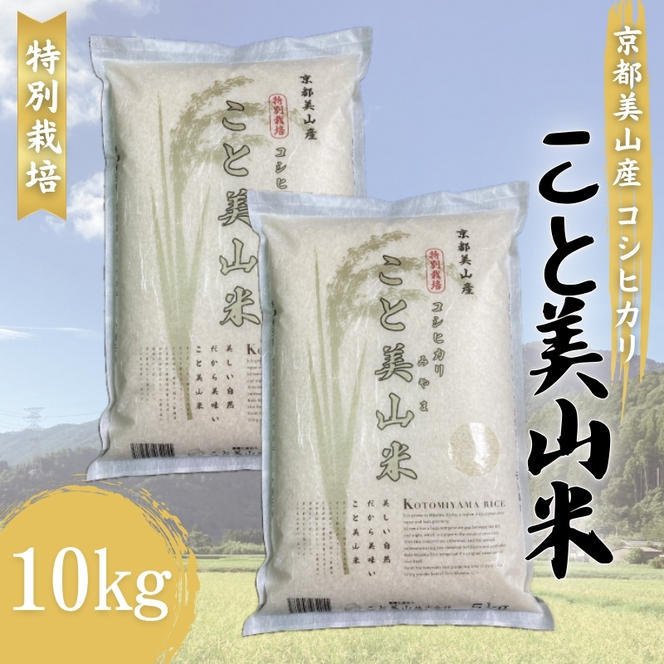 令和6年度産 新米 コシヒカリ 10kg 美山町産 こと美山米 特別栽培米