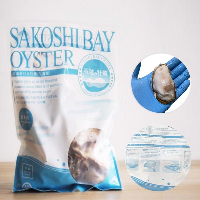 生食OK 坂越かき 殻付き生牡蠣12個入り3パック【冷凍】 生牡蠣 かき カキ 殻付 生食 国産 兵庫県 赤穂市