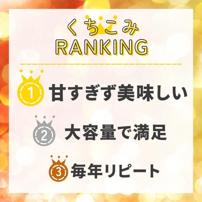 みかん職人が作った柑橘アイス1000ml×4種（ 夢オレンジ ・ 愛媛みかん ・ 河内晩柑 ・ しらぬい ） みかん 柑橘 アイス アイスクリーム シャーベット ジェラート ソルベ お菓子 おかし デザート スイーツ 冷凍 冬 夏 旬 まどんな 愛南ゴールド 不知火 デコポン みかん職人武田屋