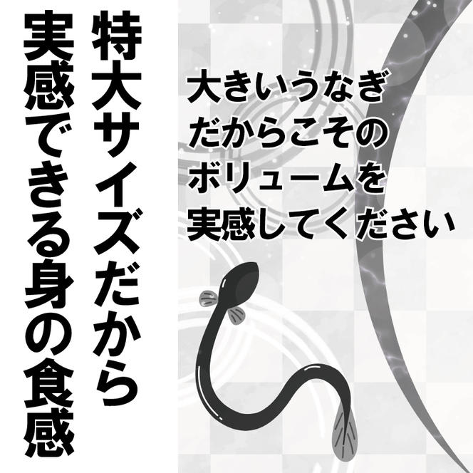 FK037_特大サイズ計１ｋｇの有頭鰻かば焼 1尾あたり約334ｇ前後×3尾（たれ・山椒付き）