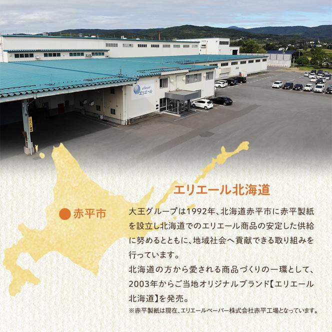 2ヵ月連続お届け 計100箱 エリエール 北海道 ティシュー なまらたっぷり 300組5箱 10パック 大容量 まとめ買い 防災 常備品 備蓄品 消耗品 日用品 生活必需品 送料無料 赤平市