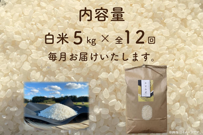 BI-90　【茨城県共通返礼品/潮来市】【12ヶ月定期便】栽培期間中出来るだけ農薬を減らしたかすみ米 5kg(白米)　茨城県潮来市産