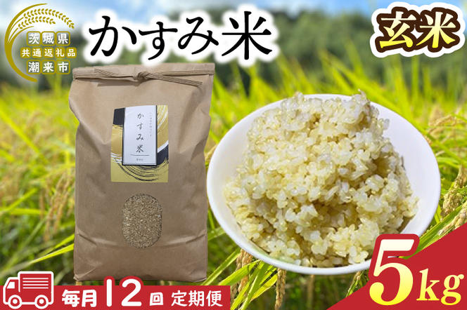 BI-91　【茨城県共通返礼品/潮来市】【12ヶ月定期便】栽培期間中出来るだけ農薬を減らしたかすみ米 5kg(玄米)　茨城県潮来市産