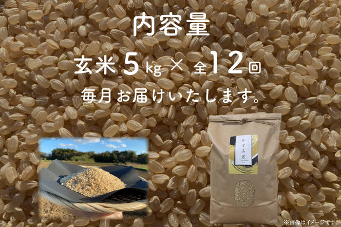 BI-91　【茨城県共通返礼品/潮来市】【12ヶ月定期便】栽培期間中出来るだけ農薬を減らしたかすみ米 5kg(玄米)　茨城県潮来市産