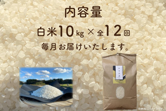 BI-92　【茨城県共通返礼品/潮来市】【12ヶ月定期便】栽培期間中出来るだけ農薬を減らしたかすみ米 10kg(白米)　茨城県潮来市産