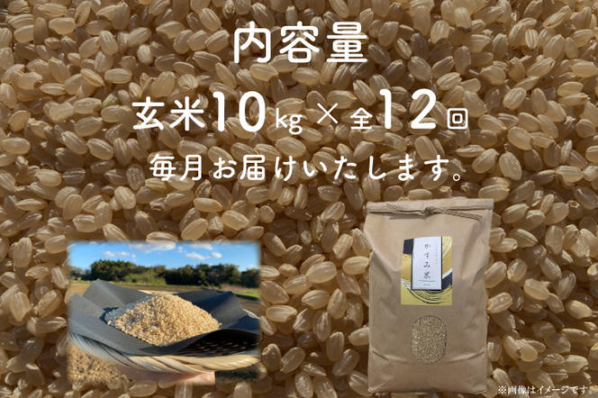 BI-93　【茨城県共通返礼品/潮来市】【12ヶ月定期便】栽培期間中出来るだけ農薬を減らしたかすみ米 10kg(玄米)　茨城県潮来市産