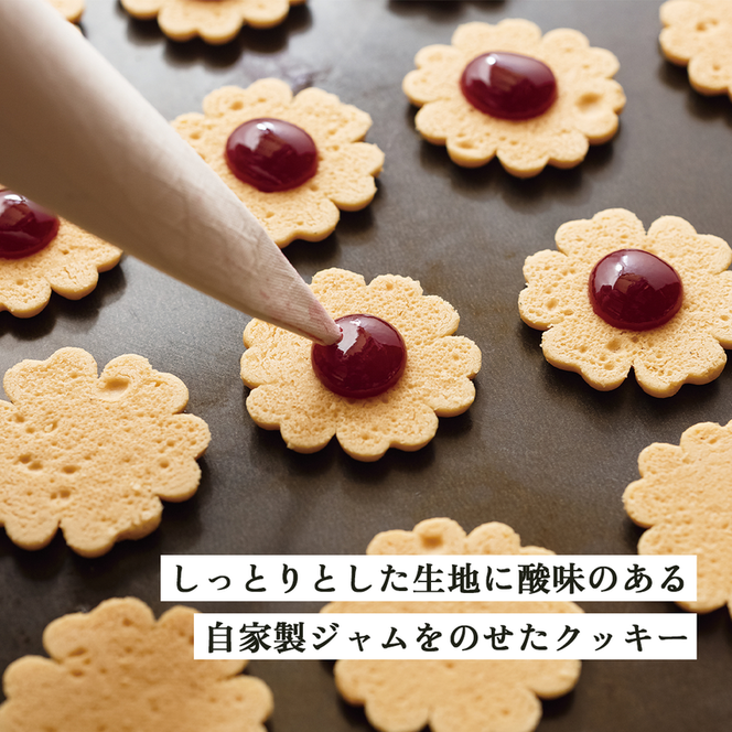 南濃みかんショコラセレクション(4缶) フールセック・小缶(2缶) 菓子 お菓子 焼き菓子 セット 詰め合わせ チョコレート クッキー ショコラ 岐阜 海津市