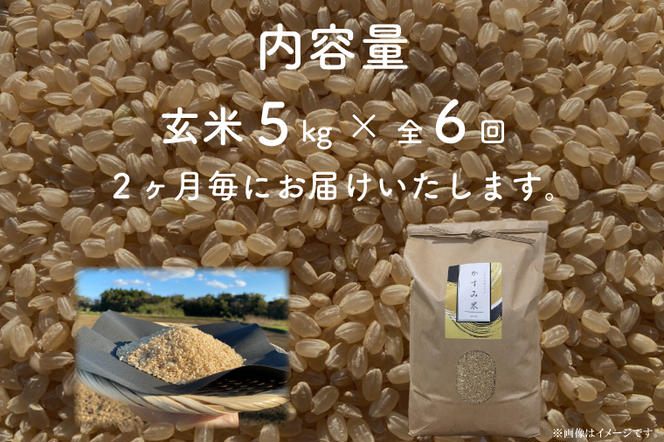 BI-95　【茨城県共通返礼品/潮来市】【6回定期便】2ヶ月毎に発送！栽培期間中出来るだけ農薬を減らしたかすみ米 5kg(玄米)　茨城県潮来市産