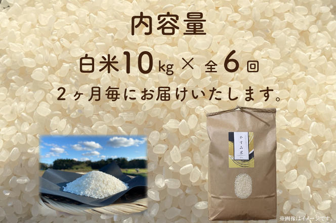 BI-96　【茨城県共通返礼品/潮来市】【6回定期便】2ヶ月毎に発送！栽培期間中出来るだけ農薬を減らしたかすみ米 10kg(白米)　茨城県潮来市産