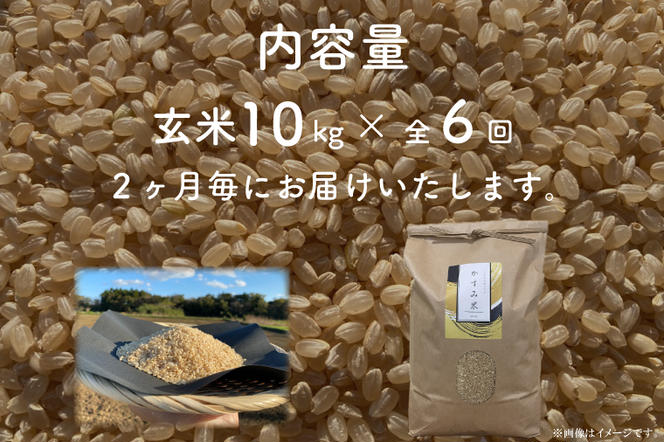 BI-97　【茨城県共通返礼品/潮来市】【6回定期便】2ヶ月毎に発送！栽培期間中出来るだけ農薬を減らしたかすみ米 10kg(玄米)　茨城県潮来市産