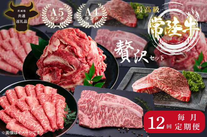 【12回定期便】最高級A4.A5ランク 常陸牛贅沢セット【人気肉 お肉 牛肉 和牛 黒毛和牛 国産黒毛和牛 ロース肉 ステーキ 国産牛 焼肉 焼き肉 バーベキュー BBQ A5 ブランド牛】（CR014）