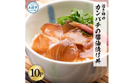 訳あり 活き締めカンパチの醤油漬け丼(10P)セット かんぱち 醤油 特製タレ 惣菜 魚 魚介類 海鮮 海鮮丼 お茶漬け 新鮮 高鮮度 ご自宅用 ご家庭用 美味しい 小分け 個包装 お取り寄せ 国産