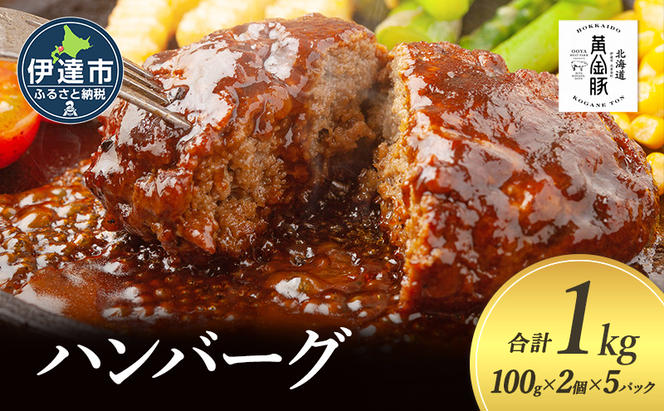 北海道 伊達 黄金豚 ハンバーグ 100g×10個（計1kg） 小分け 真空 お肉 豚肉