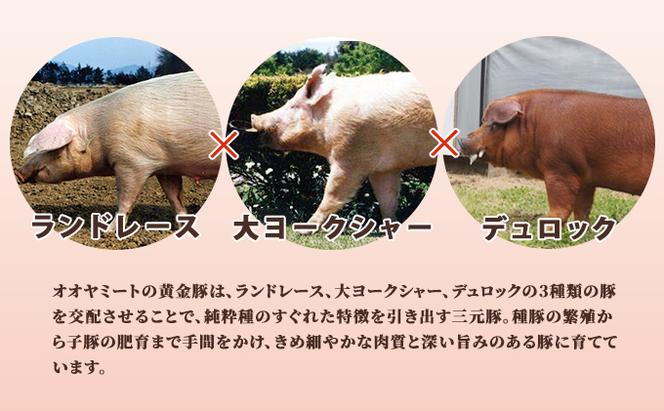 北海道 伊達 黄金豚 ハンバーグ 100g×10個（計1kg） 小分け 真空 お肉 豚肉