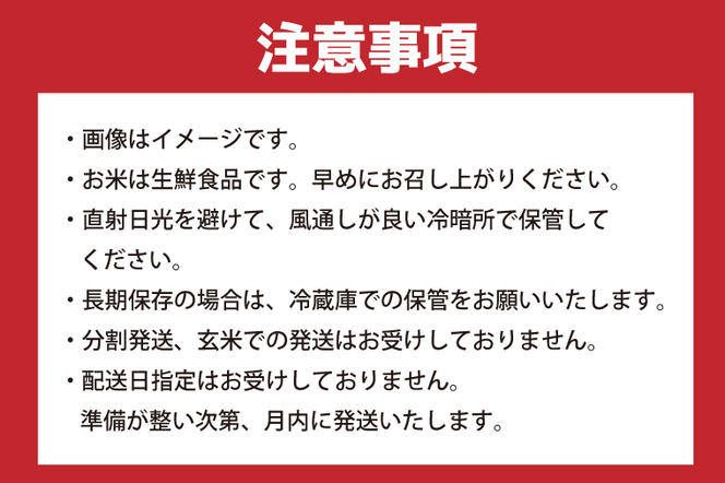 HA-7　【3回定期便】【2024年12月より順次発送】★新米★【数量限定】R6年産 コシヒカリ 5kg＋にじのきらめき 5kg　茨城県産米　おいしさ食べ比べセット