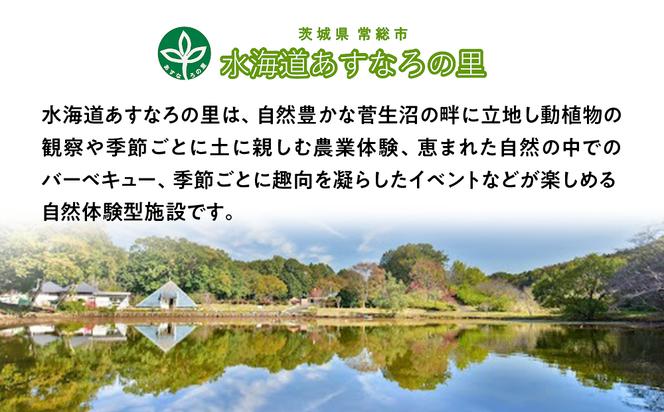 水海道あすなろの里宿泊棟利用券(1泊４名様１部屋)及びミュージアムパーク入場券引換券 