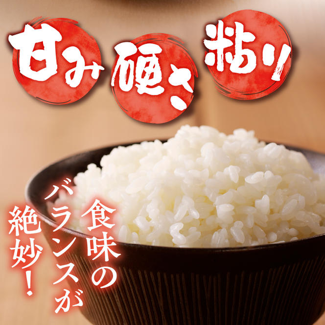 令和6年産米 北海道滝川産　特別栽培ゆめぴりか 10kg(5kg×2袋) 3ヶ月連続｜北海道 滝川市 米 お米 白米 精米 ゆめぴりか ユメピリカ 特別栽培 定期便 連続お届け