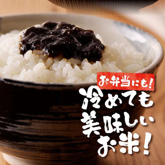 令和6年産米 北海道滝川産　特別栽培ゆめぴりか 10kg(5kg×2袋) 3ヶ月連続｜北海道 滝川市 米 お米 白米 精米 ゆめぴりか ユメピリカ 特別栽培 定期便 連続お届け