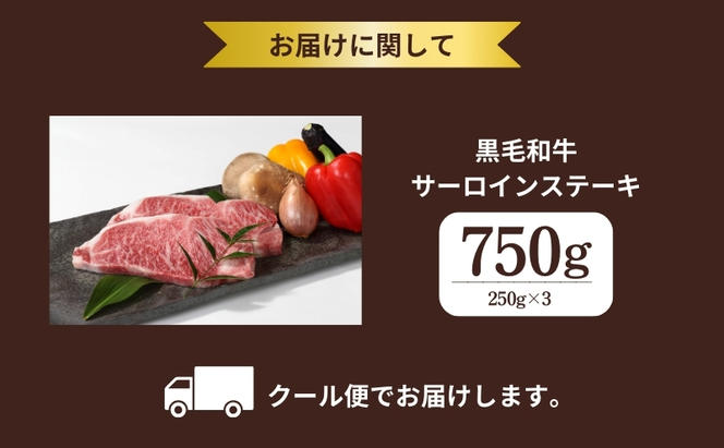 京都府産 黒毛和牛 サーロインステーキ 750g