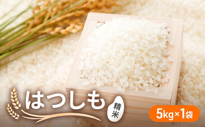 令和6年産 低農薬 清流育ち はつしも 精米 5kg×1袋 新米 お米 精白米 白米 米 ごはん 米 ご飯 ハツシモ あっさり ふっくら ブランド米 大粒 幻の米 お取り寄せ 自家用 贈答用 贈り物 御礼 産地直送 送料無料 美濃グリーン 岐阜県 美濃市