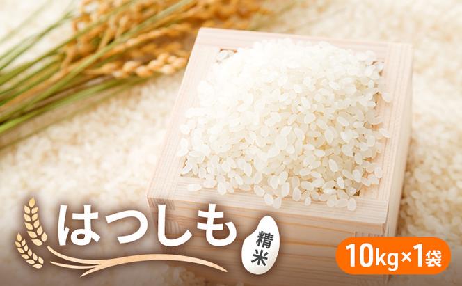 令和6年産 低農薬 清流育ち はつしも 精米 10kg×1袋 新米 お米 精白米 白米 米 ごはん 米 ご飯 ハツシモ あっさり ふっくら ブランド米 大粒 幻の米 お取り寄せ 自家用 贈答用 贈り物 御礼 産地直送 送料無料 美濃グリーン 岐阜県 美濃市