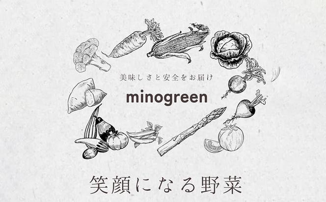 令和6年産 低農薬 清流育ち はつしも 精米 10kg×1袋 新米 お米 精白米 白米 米 ごはん 米 ご飯 ハツシモ あっさり ふっくら ブランド米 大粒 幻の米 お取り寄せ 自家用 贈答用 贈り物 御礼 産地直送 送料無料 美濃グリーン 岐阜県 美濃市