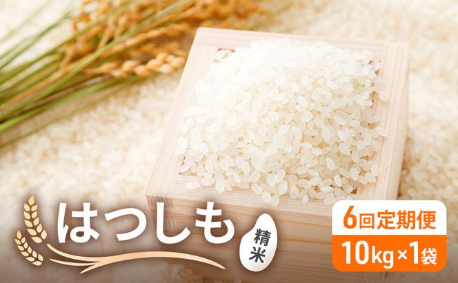 6ヶ月連続 6回 定期便 低農薬 清流育ち はつしも 精米 10kg×1袋 新米 お米 精白米 白米 米 ごはん 米 ご飯 ハツシモ あっさり ふっくら ブランド米 大粒 幻の米 お取り寄せ 自家用 贈答用 産地直送 送料無料 美濃グリーン 岐阜県 美濃市