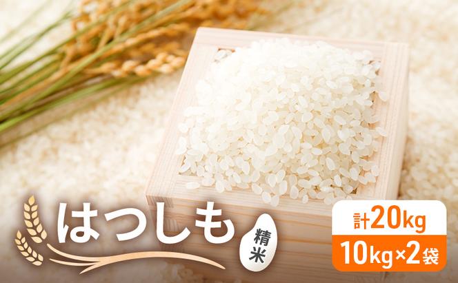 令和6年産 低農薬 清流育ち はつしも 精米 10kg×2袋 計20kg 新米 お米 精白米 白米 米 ごはん 米 ご飯 ハツシモ あっさり ブランド米 大粒 幻の米 お取り寄せ 自家用 贈答用 贈り物 御礼 産地直送 送料無料 美濃グリーン 岐阜県 美濃市