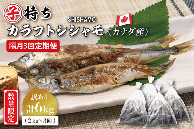 【定期便】 子持ち カラフトシシャモ ２kg (500g×4袋) 訳アリ シシャモ ししゃも カラフトししゃも 大洗 規格外 訳あり わけあり 傷 半年お届け（2ヶ月に1度 ２kg × 3回 お届け ）